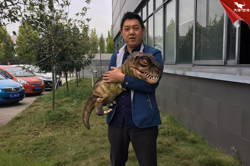 恐龍手偶,抱在手里的恐龍