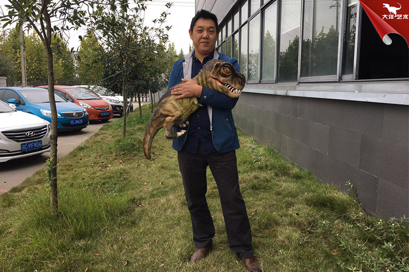恐龍手偶,抱在手里的恐龍