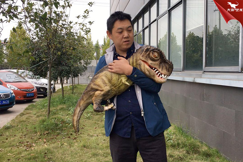 恐龍手偶,抱在手里的恐龍